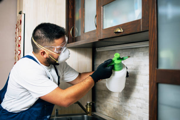 Pest Control Cost in Kimberly, ID
