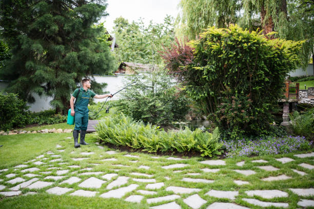 Best Cockroach Control Services  in Kimberly, ID