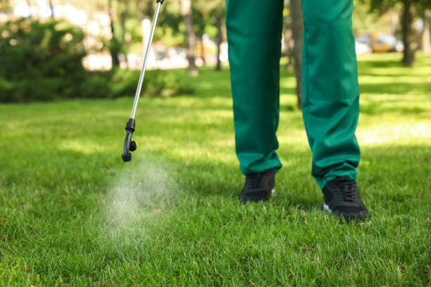 Wasp Removal Services in Kimberly, ID