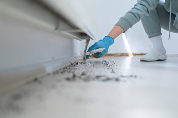 Bird Control in Kimberly, ID