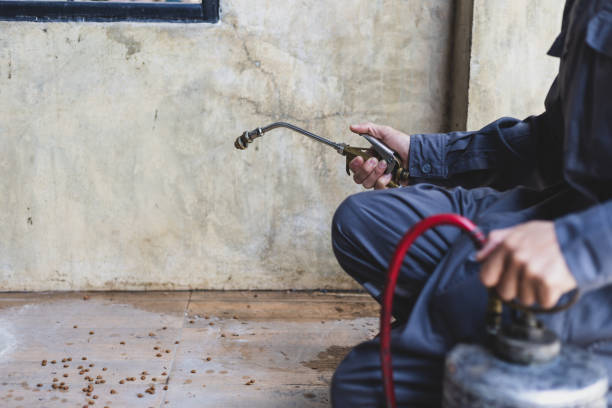 Best Pest Removal Services  in Kimberly, ID