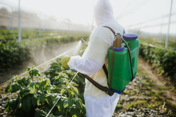 Best Insect Control  in Kimberly, ID